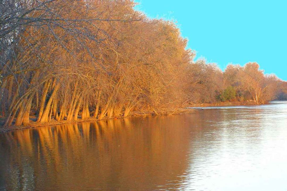 Homes for Sale in Whiteside County IL Your Local Real Estate Agents